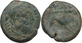 Greek Italy. Northern Apulia, Teate. AE Quadrunx, c. 225-200 BC. Obv. Head of Herakles right, bearded; before, four pellets. Rev. Lion right; above, c...
