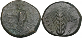 Greek Italy. Southern Lucania, Metapontum. AE Obol, c. 425-350 BC. Obv. Hermes standing left, holding caduceus and sacrificing with phiale above thymi...