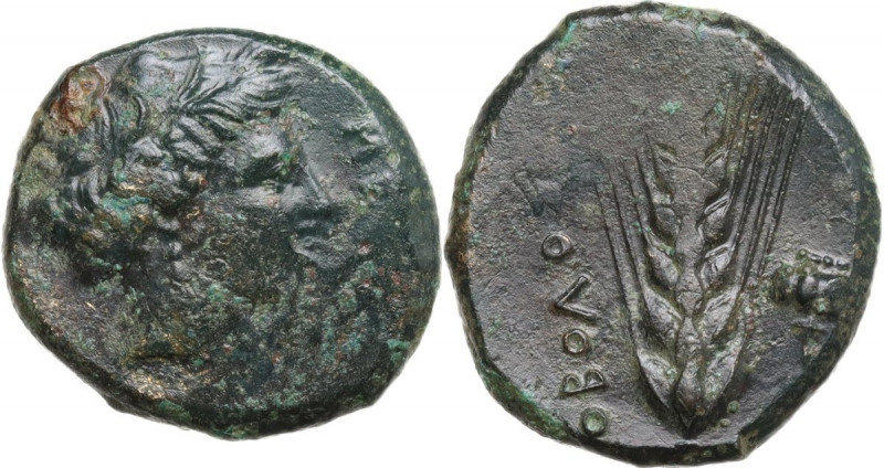 Greek Italy. Southern Lucania, Metapontum. AE Obol, c. 450-350 BC. Obv. Head of ...