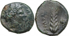 Greek Italy. Southern Lucania, Metapontum. AE Obol, c. 450-350 BC. Obv. Head of Demeter right, wearing barley wreath; ME before. Rev. ΟΒΟΛΟΣ. Grain ea...