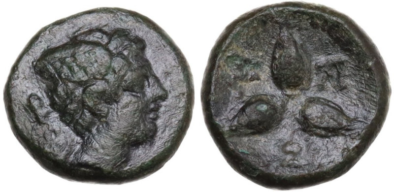 Greek Italy. Southern Lucania, Metapontum. AE 12 mm. Late third century BC. Obv....