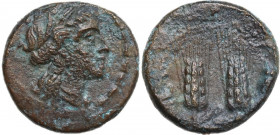 Greek Italy. Southern Lucania, Metapontum. AE 17 mm. c. 225-200 BC. Obv. Head of Demeter right, wearing wreath of barley ears. Rev. META. Two ears of ...