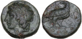 Sicily. Akragas. Phintias, Tyrant (289-278 BC). AE 15 mm. Obv. Laureate head of Apollo left. Rev. Sea eagle standing right, looking back. HGC 2 168; C...