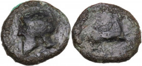 Sicily. Entella. Campanian mercenaries. AE 13.5 mm, c. 342-338 BC. Obv. Horse right. Rev. Campanian helmet left. HGC 2 255; CNS I 5. AE. 1.54 g. 13.50...