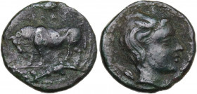 Sicily. Gela. AE Tetras or Trionkion, c. 420-405 BC. Obv. Bull standing left; olive leaf and ΓEΛAΣ above, three pellets below. Rev. Horned head of you...