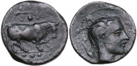 Sicily. Gela. AE Tetras-Trionkion, c. 420-405 BC. Obv. Bull advancing right, head three-quarter facing; above, olive branch; below, three pellets. Rev...