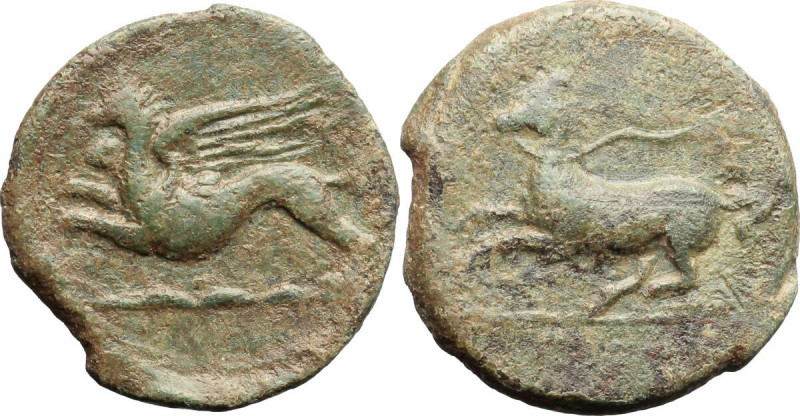 Sicily. Kainon. AE 22 mm, c. 365 BC. Obv. Griffin springing left; below, exergua...