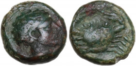 Sicily. Motya. AE 12.5 mm. c. 400-397 BC. Obv. Bearded male head right. Rev. Crab. CNS I 10 (Eryx); HGC 2 947; Jenkins, Punic, pl. 23, 14; Campana 30....