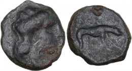 Sicily. Segesta. AE Tetras, c. 390-380 BC. Obv. Head of nymph right. Rev. Hound standing right, head lowered. HGC 2 1200; CNS I 46. AE. 4.89 g. 19.00 ...