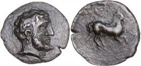 Sicily. Solous. AE 15 mm, c. 300-254 BC. Obv. Bearded head of Heracles right. Rev. Horse running right. HGC 2 1259; SNG ANS 744; CNS I 16. AE. 1.44 g....