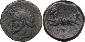 Africa. Kings of Numidia. Massimissa and his successors. AE 26 mm, 208-148 BC. Obv. Laureate head left. Rev. Horse galloping left. SNG Cop. 510-513. A...