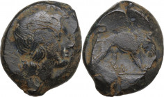 Anonymous. AE Double litra, uncertain mint in south Italy, 275-270 BC. Obv. Female head right. Rev. Lion right. Cr. 16/1a. AE. 10.00 g. 22.00 mm. Abou...
