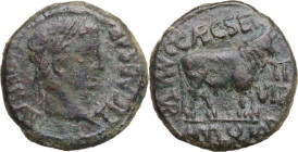 Tiberius (14-37). AE As, Tarazona mint. Obv. Laureate head right. Rev. Bull right, C. CAEC. SER above, M. VAL. QVAD below, MVN. TVR. VII. VIR on the s...