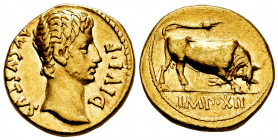 Augustus. Aureus. 27 BC-14 AD. Lugdunum. (Ric-176a). (Calicó-220). Anv.: AVGVSTVS DIVI F. Bare head right. Rev.: IMP XII. Bull butting right. Au. 7,81...