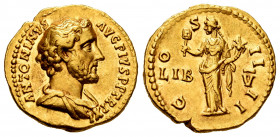 Antoninus Pius. Aureus. 147-148 AD. Rome. (Ric-169b). (Calicó-1578). (Bmcre-628). Anv.: ANTONINVS AVG PIVS P P TR P XI, bare headed and draped bust ri...