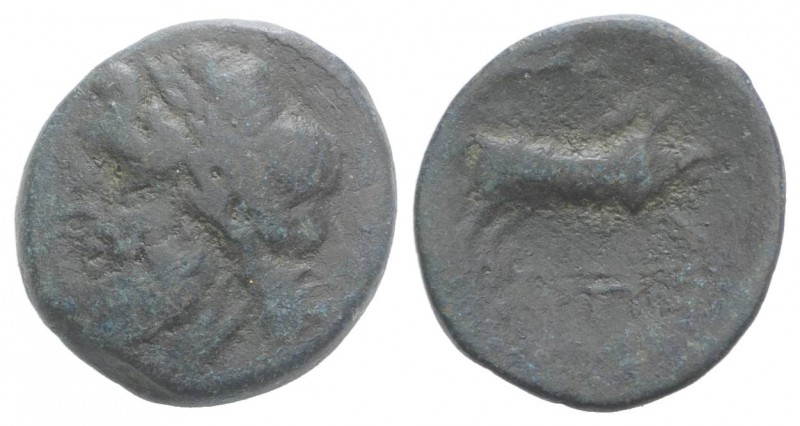 Northern Apulia, Arpi, 3rd century BC. Æ (20mm, 7.03g, 11h). Laureate head of Ze...