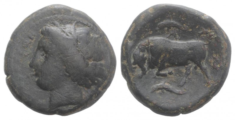Sicily, Syracuse. Agathokles (317-289 BC). Æ Hemilitron (23mm, 11.74g, 9h), c. 3...