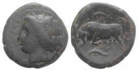 Sicily, Syracuse. Agathokles (317-289 BC). Æ Hemilitron (23mm, 11.74g, 9h), c. 317-310. Head of Kore l., wearing wreath of grain ears; barley grain be...