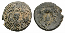 Kings of Macedon, temp. Philip III-Antigonos I. Æ Half Unit (15mm, 3.77g, 12h). Uncertain mint in western Asia Minor. Macedonian shield; boss decorate...