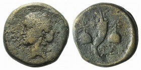 Mysia, Adramytion, c. 2nd century BC. Æ (21mm, 7.32g, 12h). Laureate head of Apollo l. R/ Cornucopia between piloi of the Dioskouroi surmounted by sta...