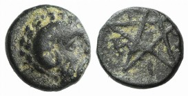 Mysia, Pitane, 4th-3rd centuries BC. Æ (7mm, 0.61g). Head of Zeus-Ammon r. R/ Pentagram. SNG BnF 2353-5. Green patina, near VF