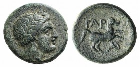 Troas, Gargara, 4th century BC. Æ (15mm, 4.63g, 11h). Laureate head of Apollo r. R/ Horse prancing r.; torch below. SNG Copenhagen 320. Green patina, ...