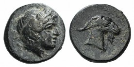 Aeolis, Aigai, 4th-3rd centuries BC. Æ (9mm, 1.15g, 6h). Laureate head of Apollo r. R/ Head of goat r. SNG Copenhagen 1; SNG von Aulock 1593. Green pa...