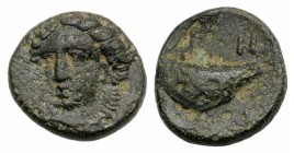 Aeolis, Grynion, c. 4th-3rd centuries BC. Æ (10mm, 1.44g, 7h). Laureate three-quarter facing head of Apollo. R/ Mussel shell. SNG Copenhagen 205-6. Gr...