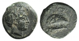 Aeolis, Gyrneion, 4th-3rd century BC. Æ (10mm, 1.44g, 3h). Laureate head of Apollo r. R/ Mussel-shell; club below. SNG Copenhagen 207. Green patina, n...