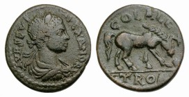 Severus Alexander (222-235). Troas, Alexandria. Æ (23mm, 7.03g, 7h). Laureate, draped and cuirassed bust r. R/ Horse grazing r. RPC VI online 4014 (te...