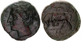 Ancient Greece Litra 317 - 289 BC Sicily Syracuse Agathokles
Copper 5,95 g; Obv: Wreathed head of Kore left. Rev: Bull butting left; VG