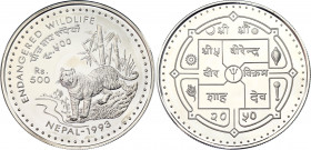 Nepal 500 Rupees 1993 VS 2050
KM# 1091; Silver., Proof; Birendra Bir Bikram; Tiger