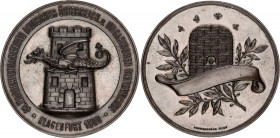 Austria Silver Medal "45th Assembly of Austro-Hungarian Beekeepers in Klagenfurt" 1900
Bronze 43.24 g., 48 mm; by Schwerdtner, Vienna; Obv: 45. WANDE...