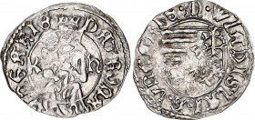 Hungary 1 Denar 1498 (ND) Kn
ÉH# 638; Silver 0.57 g.; Vladislaus II; XF