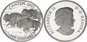 Canada 100 Dollars 2013
KM# 1441; Silver., Matte Proof; Elizabeth II; Bison; UNC