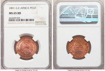 German Colony. Wilhelm II Pesa 1891 MS65 Red and Brown NGC, Berlin mint, KM1. A lustrous gem.

HID09801242017

© 2022 Heritage Auctions | All Righ...
