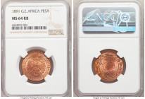 German Colony. Wilhelm II Pesa 1891 MS64 Red and Brown NGC, Berlin mint, KM1. Near-gem luminous surfaces.

HID09801242017

© 2022 Heritage Auction...