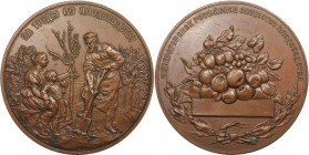 Russische Münzen und Medaillen, Alexander III. (1881-1894). Bronzemedaille 1894, unsigniert (S.Z. Vajenin). Für die russische Gesellschaft für Fruchtb...