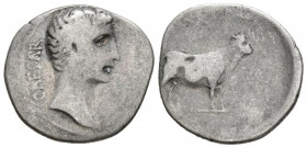 AUGUSTO. Denario. (Ar. 3,20g/21mm). 27 a.C.-14 d.C. Pérgamo. (RIC 475). Anv: Cabeza de Augusto a derecha, detrás leyenda: CAESAR. Rev: Toro a derecha,...