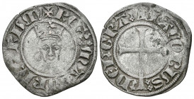 JAIME II (1276-1311). Dobler (Ve. 1,71g/20mm). Mallorca. (Cru V.S. 541). Anv: Busto de Jaime II de frente coronado, alrededor leyenda: REX MAIORICARUM...