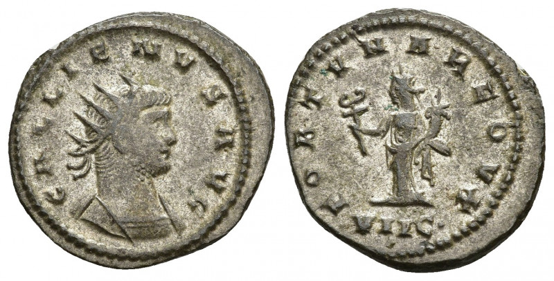 Gallienus AD 253-268. Asia Antoninianus. 3.73gr. 21.7mm.
GALLIENVS AVG, radiate...