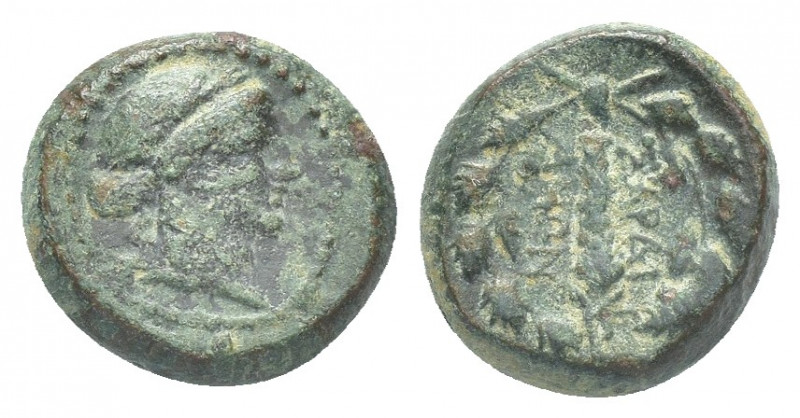 Greek
LYDIA. Sardes. Circa 133 BC-AD 14 Laureate head of Apollo to right. Rev. Σ...