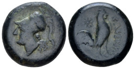 Campania , Cales Bronze circa 265-260, Æ 17.00 mm., 7.24 g.
Head of Athena l., wearing Corinthian helmet. Rev. Cock standing r.; in l. field, star. S...