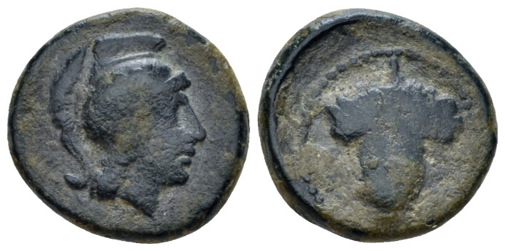 Apulia, Arpi Bronze circa 215-212, Æ 15.00 mm., 3.70 g.
Head of Athena r. weari...
