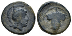 Apulia, Arpi Bronze circa 215-212, Æ 15.00 mm., 3.70 g.
Head of Athena r. wearing crested Attic helmet. Rev. Bunch of grapes. Historia Numorum Italy ...