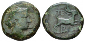 Bruttium, Terina Bronze circa 350-275, Æ 17.00 mm., 4.72 g.
Head of the nymph Terina r. Rev. Hare bounding right. Historia Numorum Italy 2645. SNG AN...