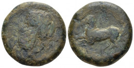 Sicily, Syracuse Dilitron circa 339/8-334, Æ 24.00 mm., 15.78 g.
Laureate head of Zeus Eleutherios l. Rev. Horse rearing l. Calciati 80. SNG ANS 533....