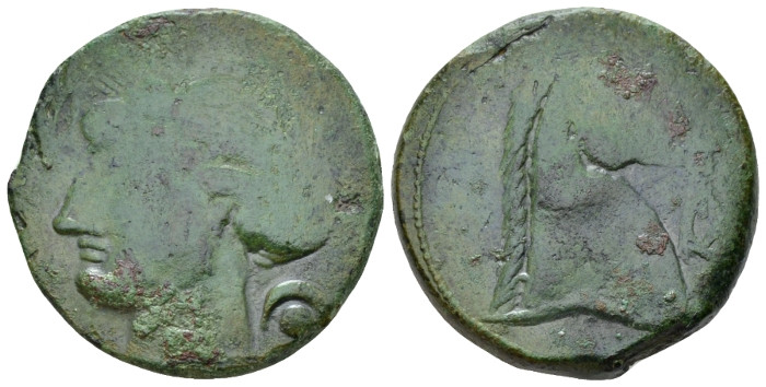 The Carthaginians in Sicily and North Africa, Sardinia Bronze circa 300-264, Æ 2...