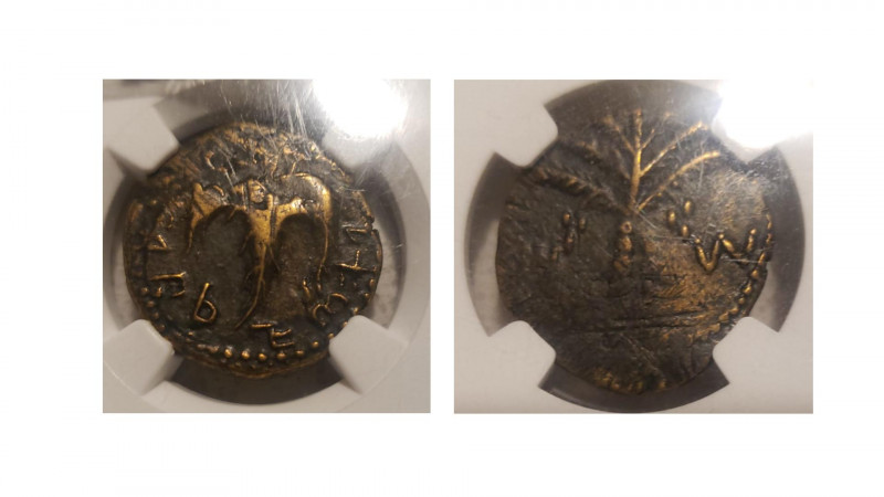 Judaea, Bar Kochba Revolt, 132-135 Jerusalem Bronze 133-134, Æ 24.00 mm., 9.41 g...