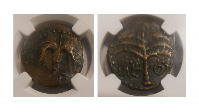 Judaea, Bar Kochba Revolt, 132-135 Jerusalem Middle bronze 133-134, Æ 24.00 mm.,...